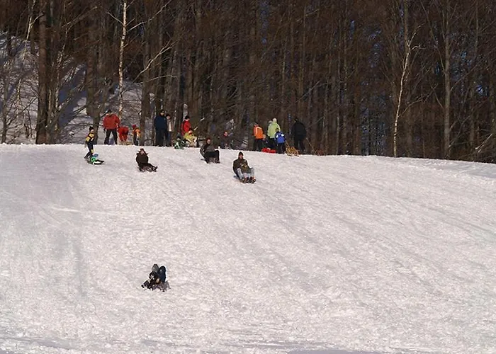 Gasthof Weißer Stein
